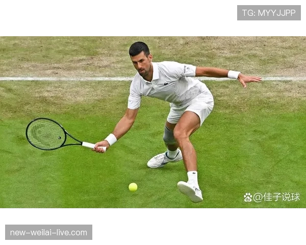 德约科维奇训练完直接啃生菜叶子，这自律谁顶得住啊